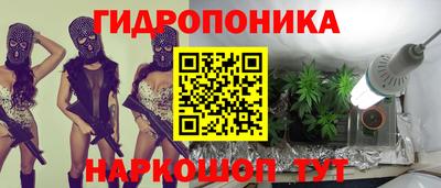 гашик Дубна