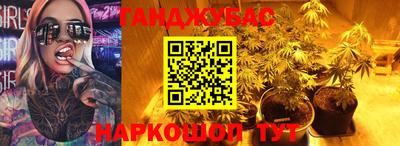 гашик Дубна