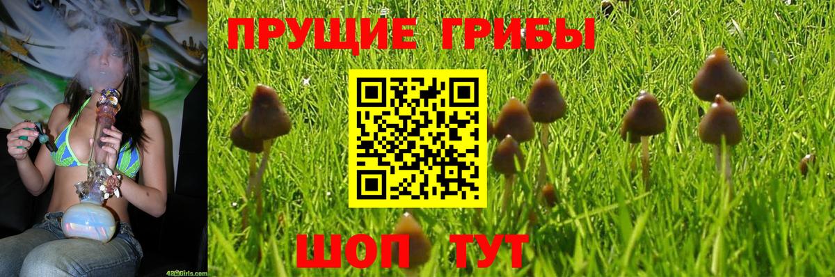 Галлюциногенные грибы мицелий Керчь