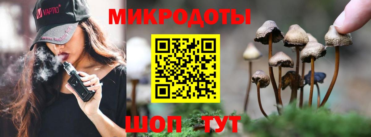 Галлюциногенные грибы GOLDEN TEACHER  Галлюциногенные грибы прущие грибы  Вход с VPN  Керчь 